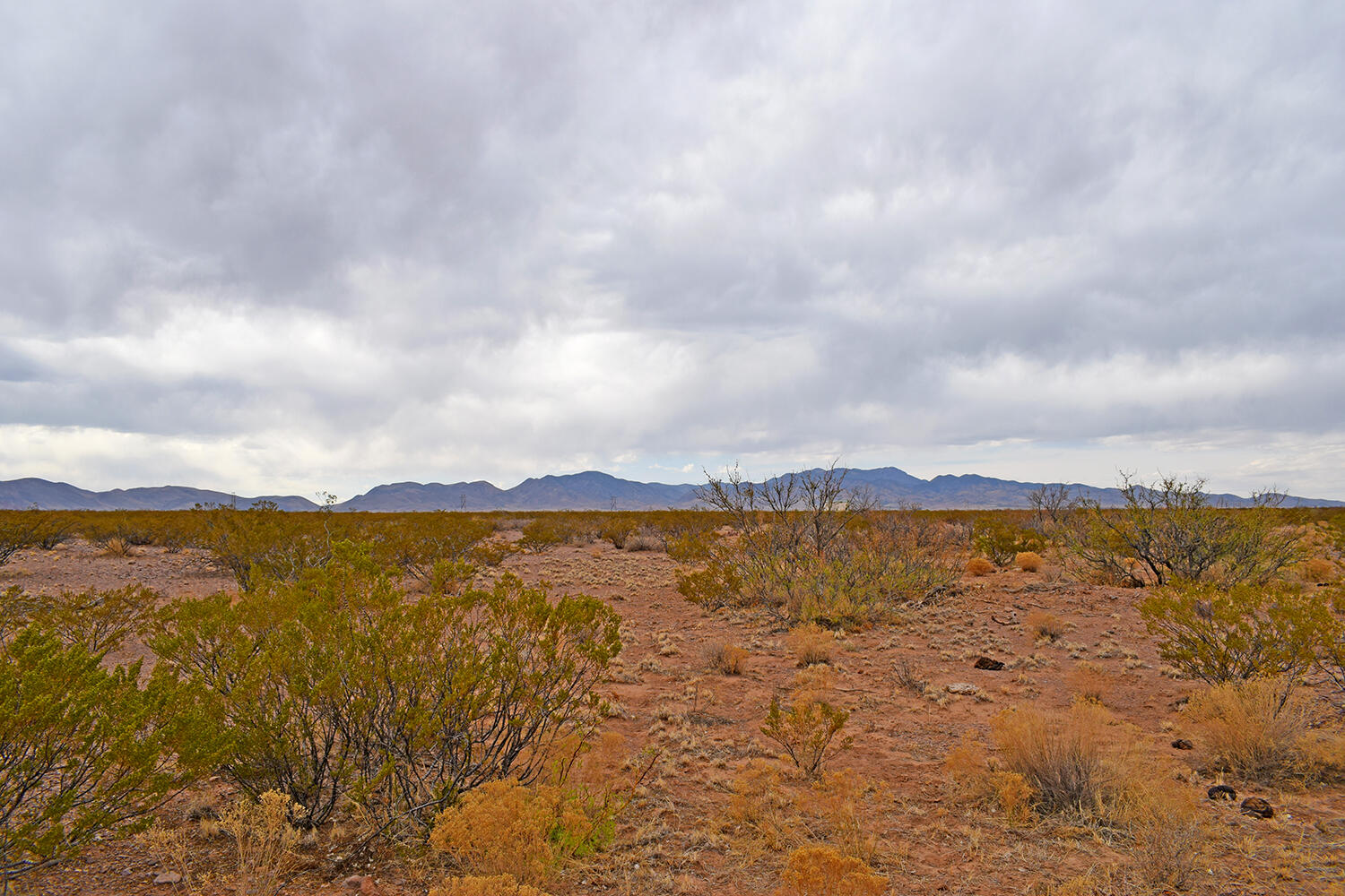 Lot 5 Bosque Trail