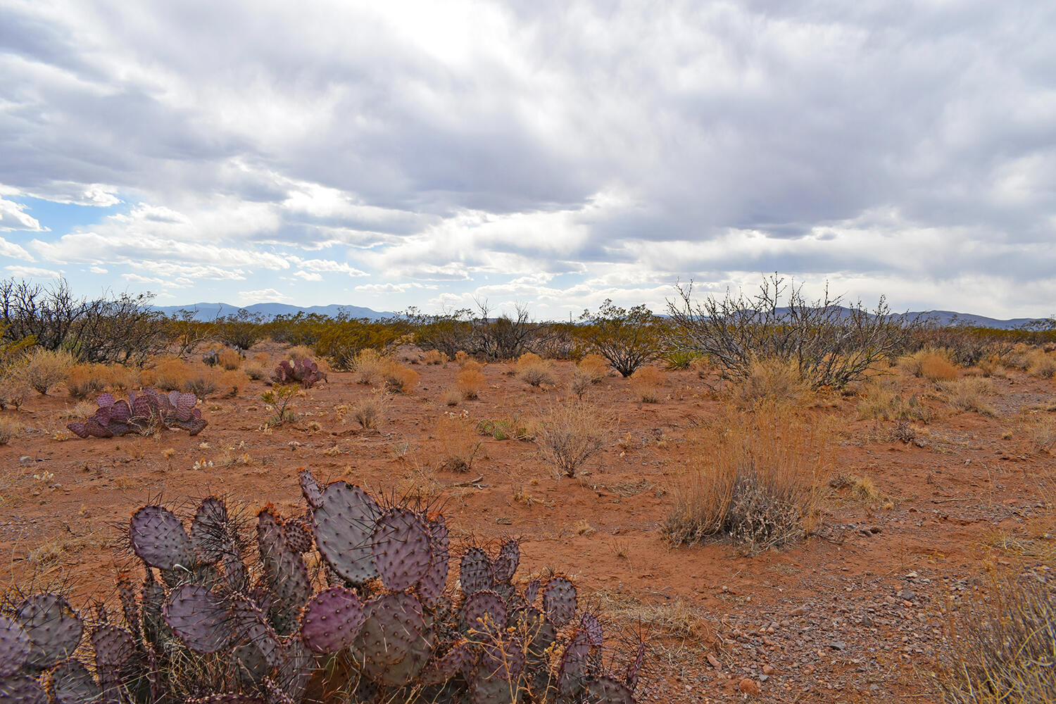 Lot 5 Bosque Trail