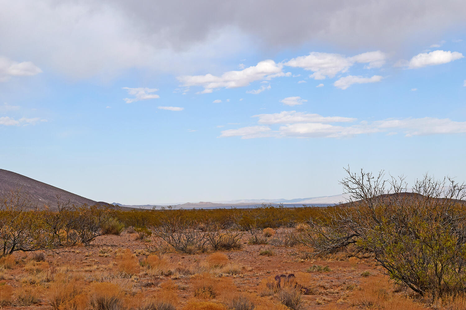 Lot 5 Bosque Trail