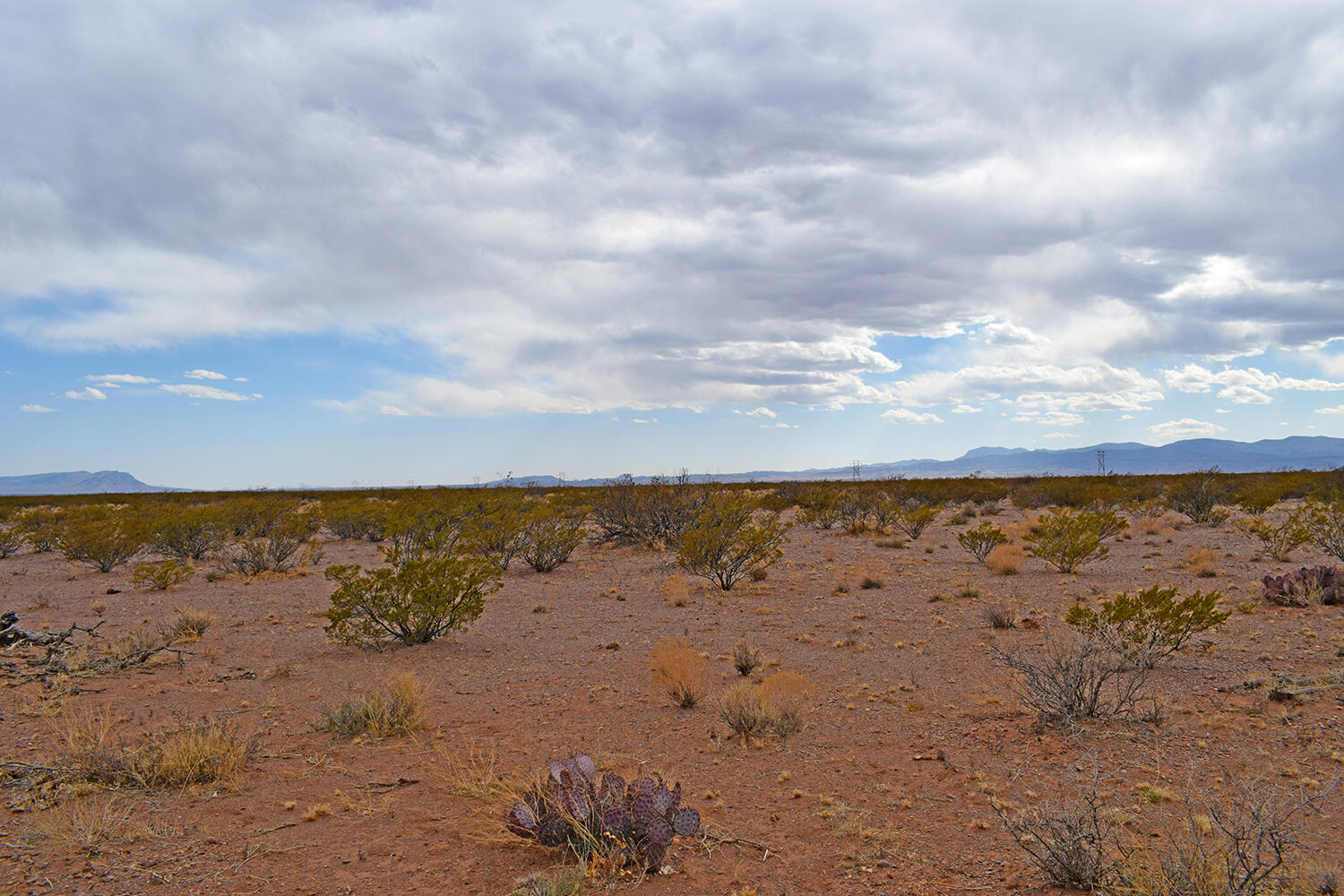 Lot 5 Bosque Trail