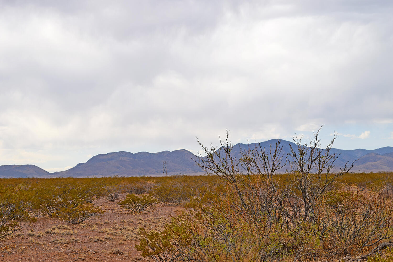 Lot 5 Bosque Trail