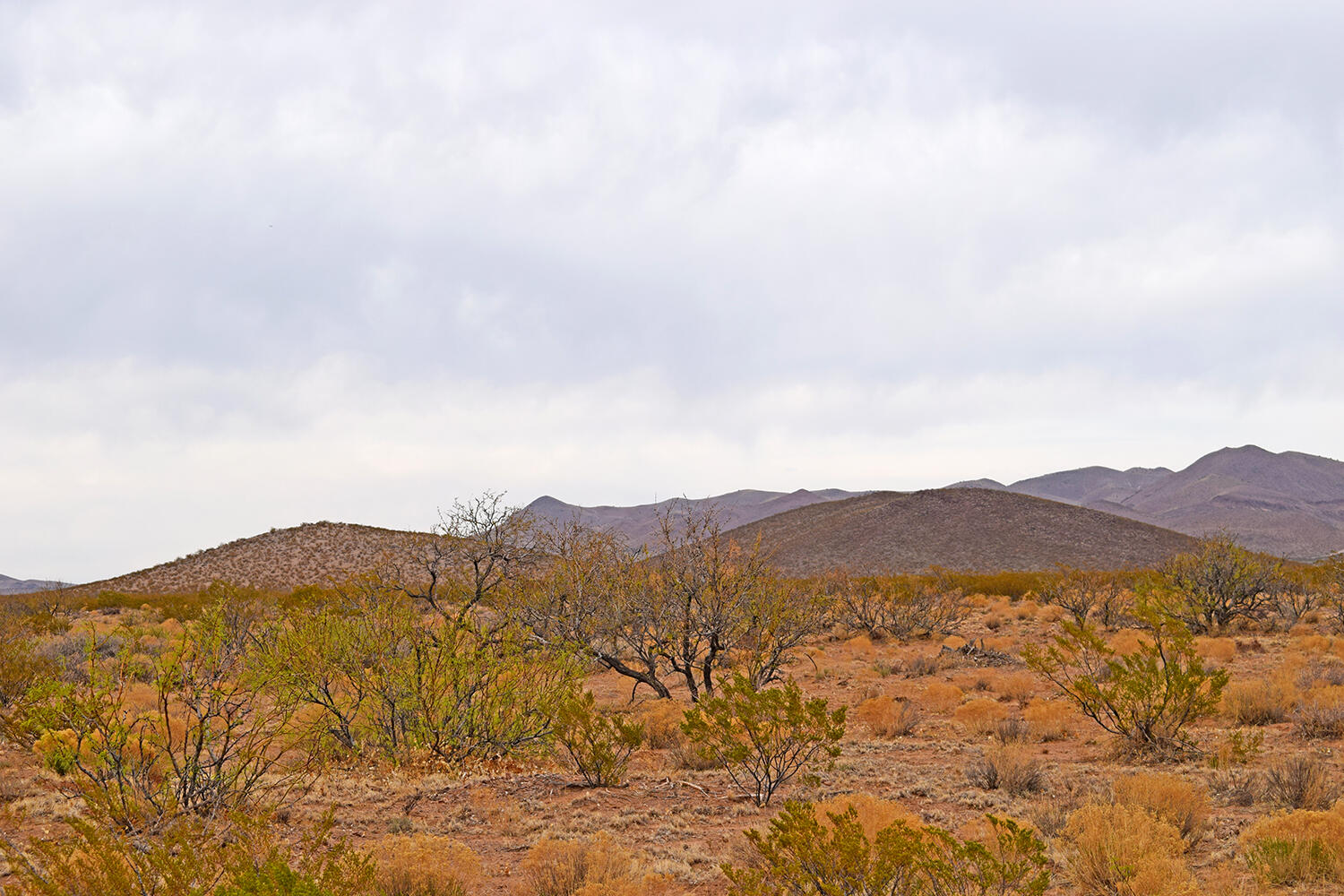 Lot 5 Bosque Trail