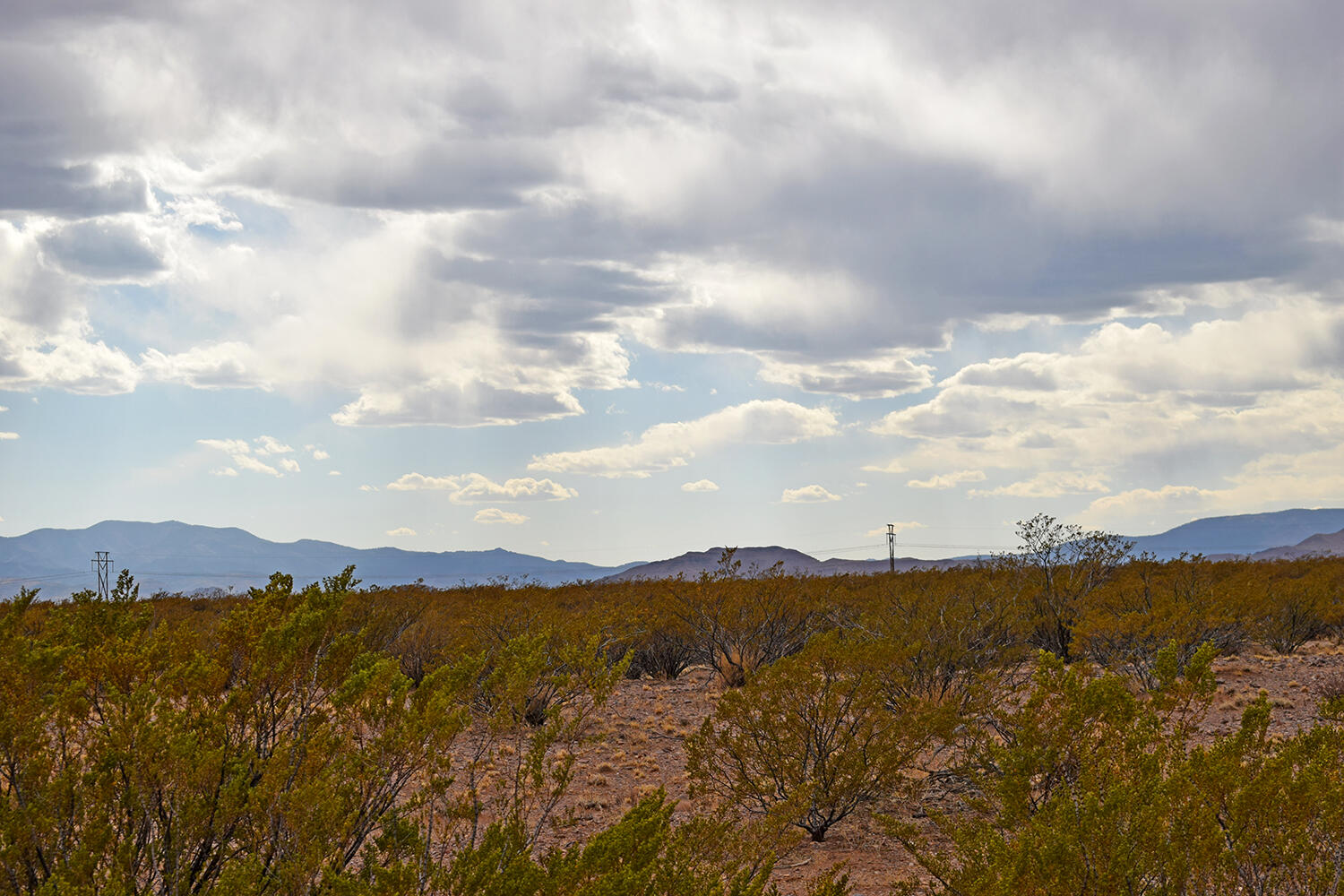 Lot 5 Bosque Trail
