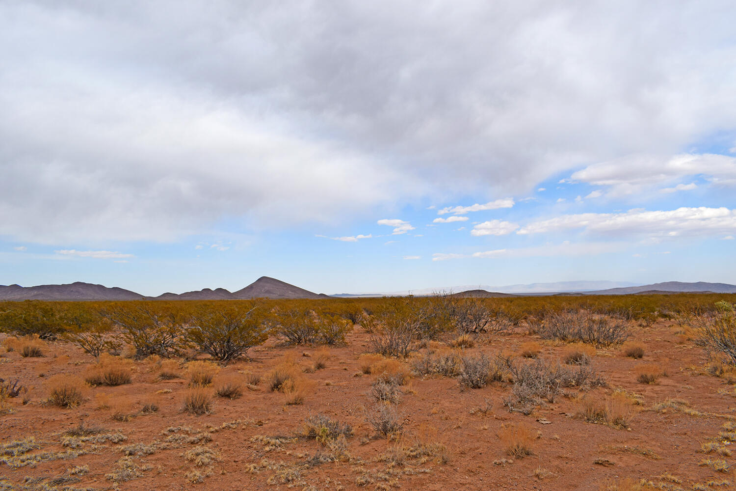 Lot 5 Bosque Trail