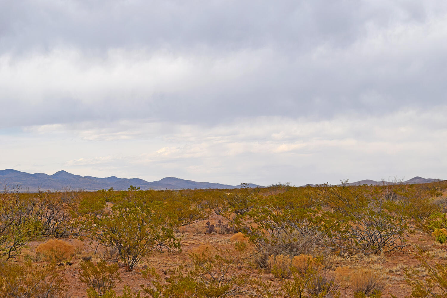 Lot 5 Bosque Trail