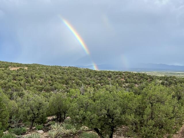 1087 Deer Canyon Trail