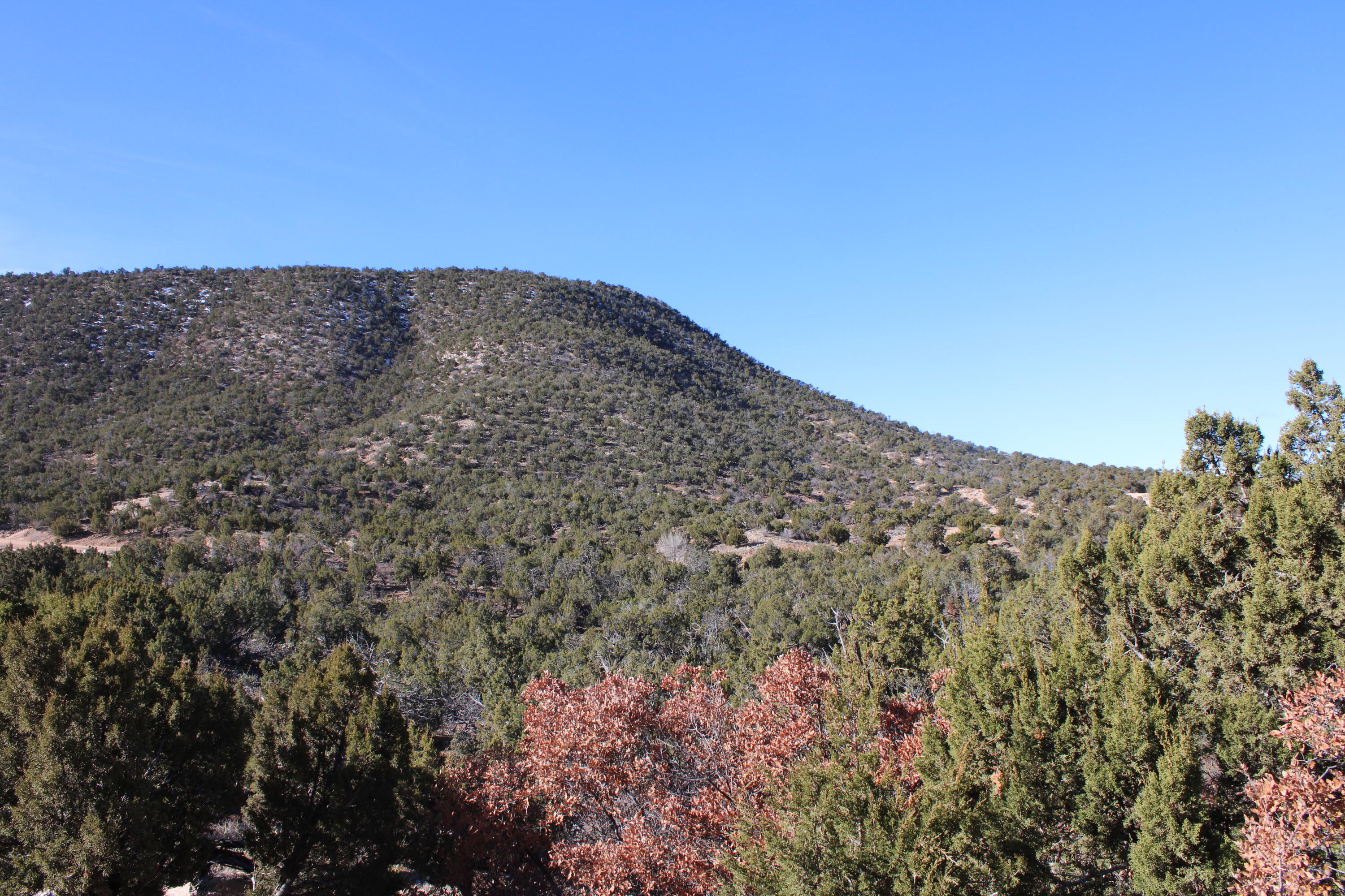 1087 Deer Canyon Trail