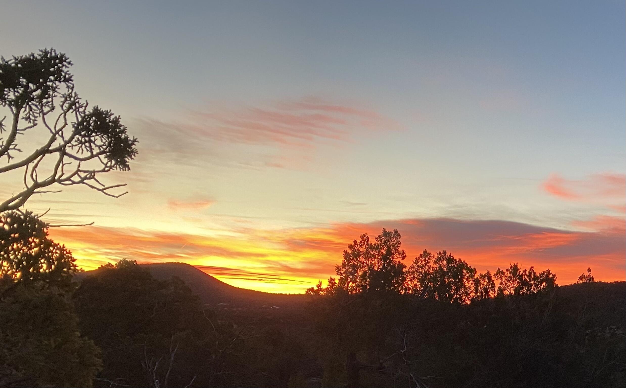 1087 Deer Canyon Trail
