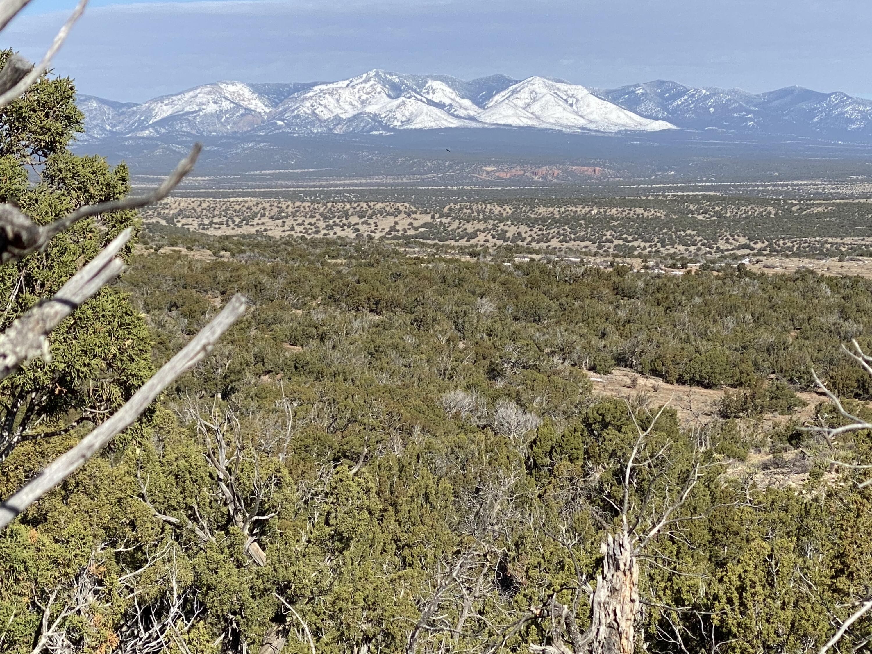 1087 Deer Canyon Trail