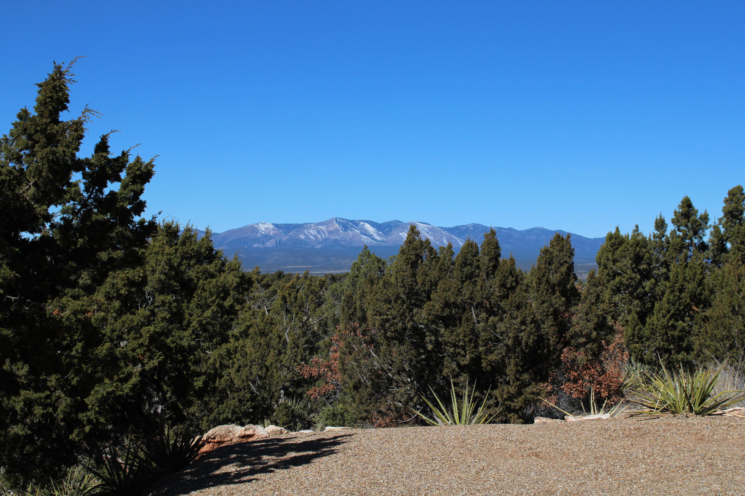 1087 Deer Canyon Trail