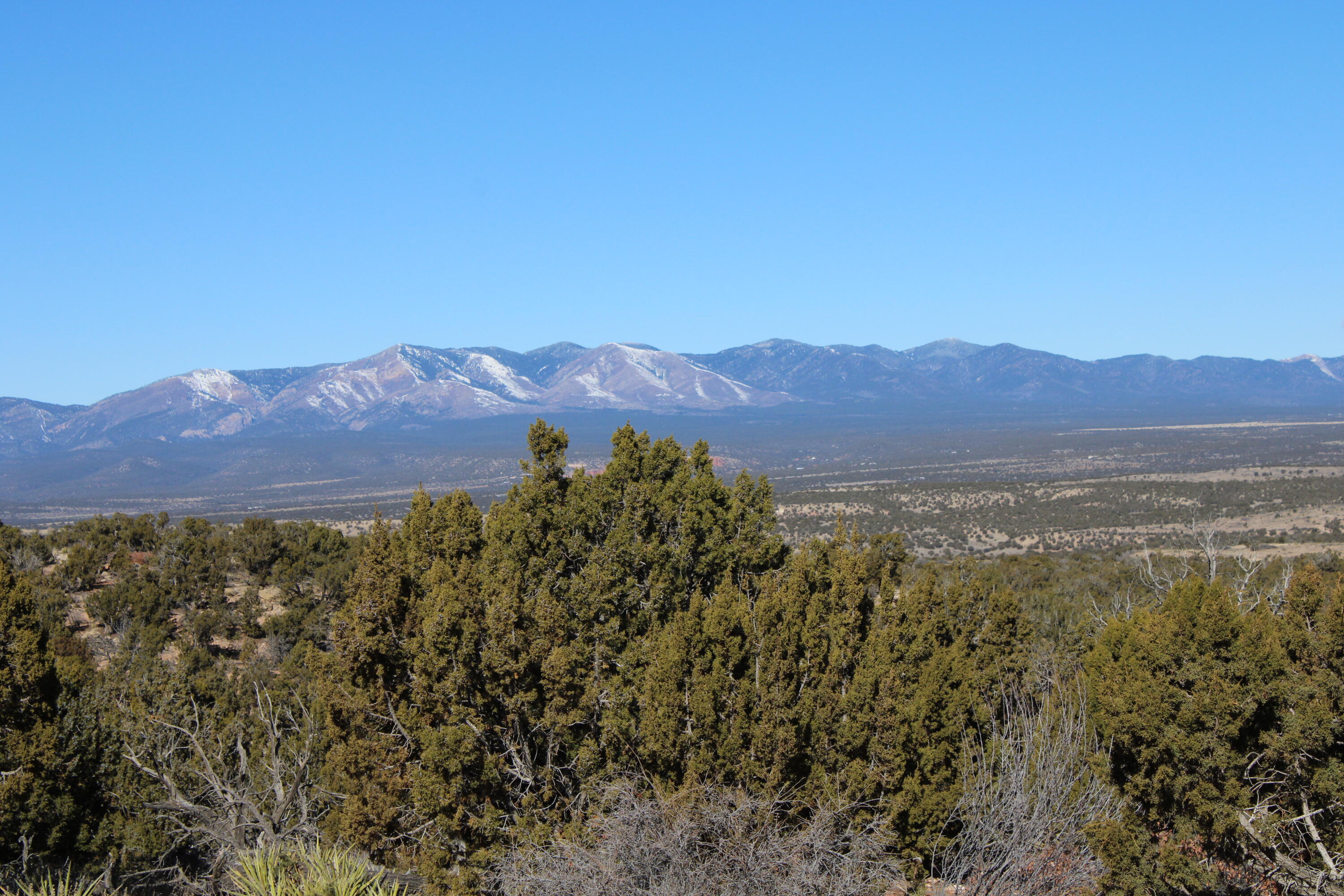 1087 Deer Canyon Trail