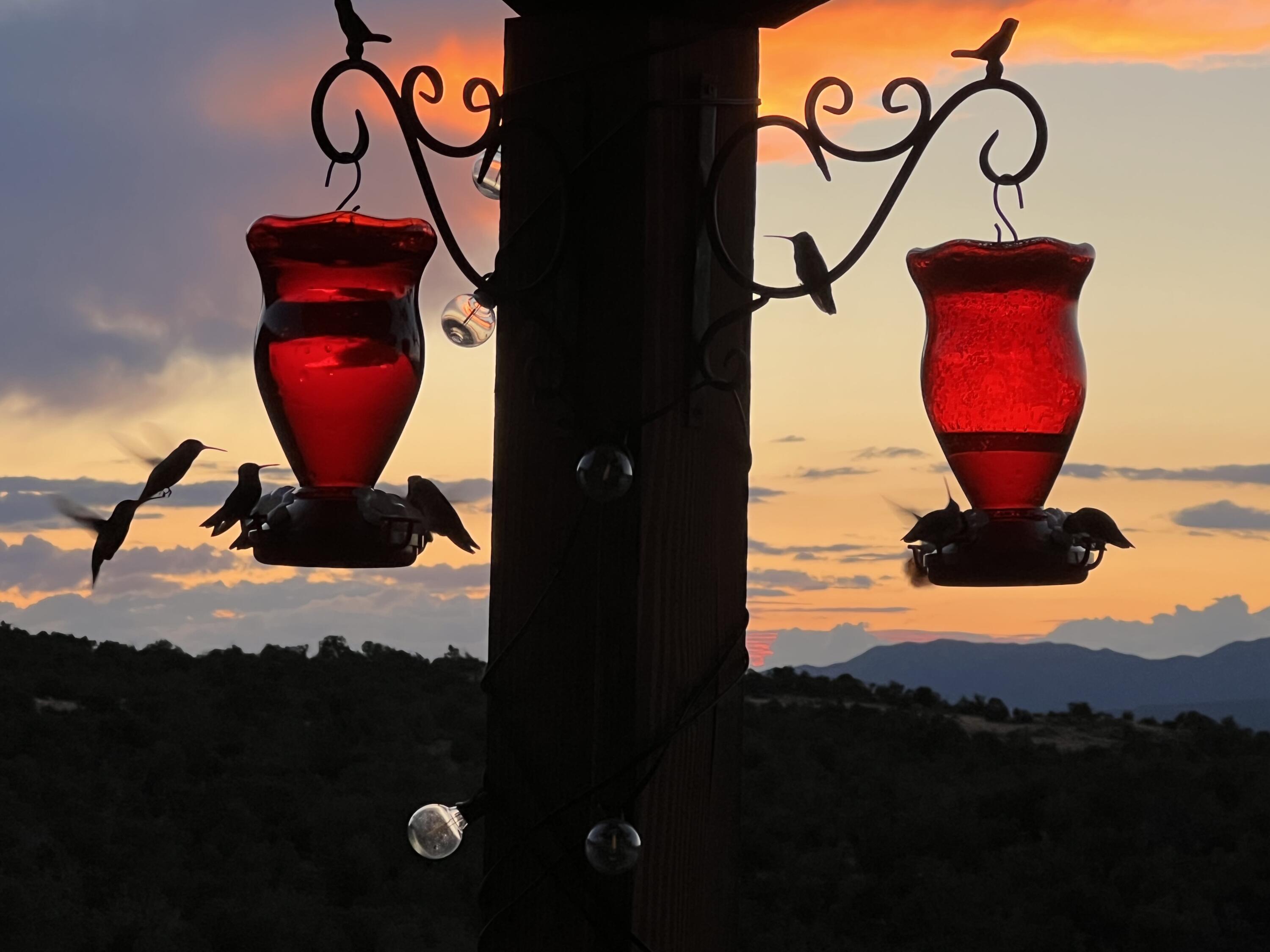 1087 Deer Canyon Trail