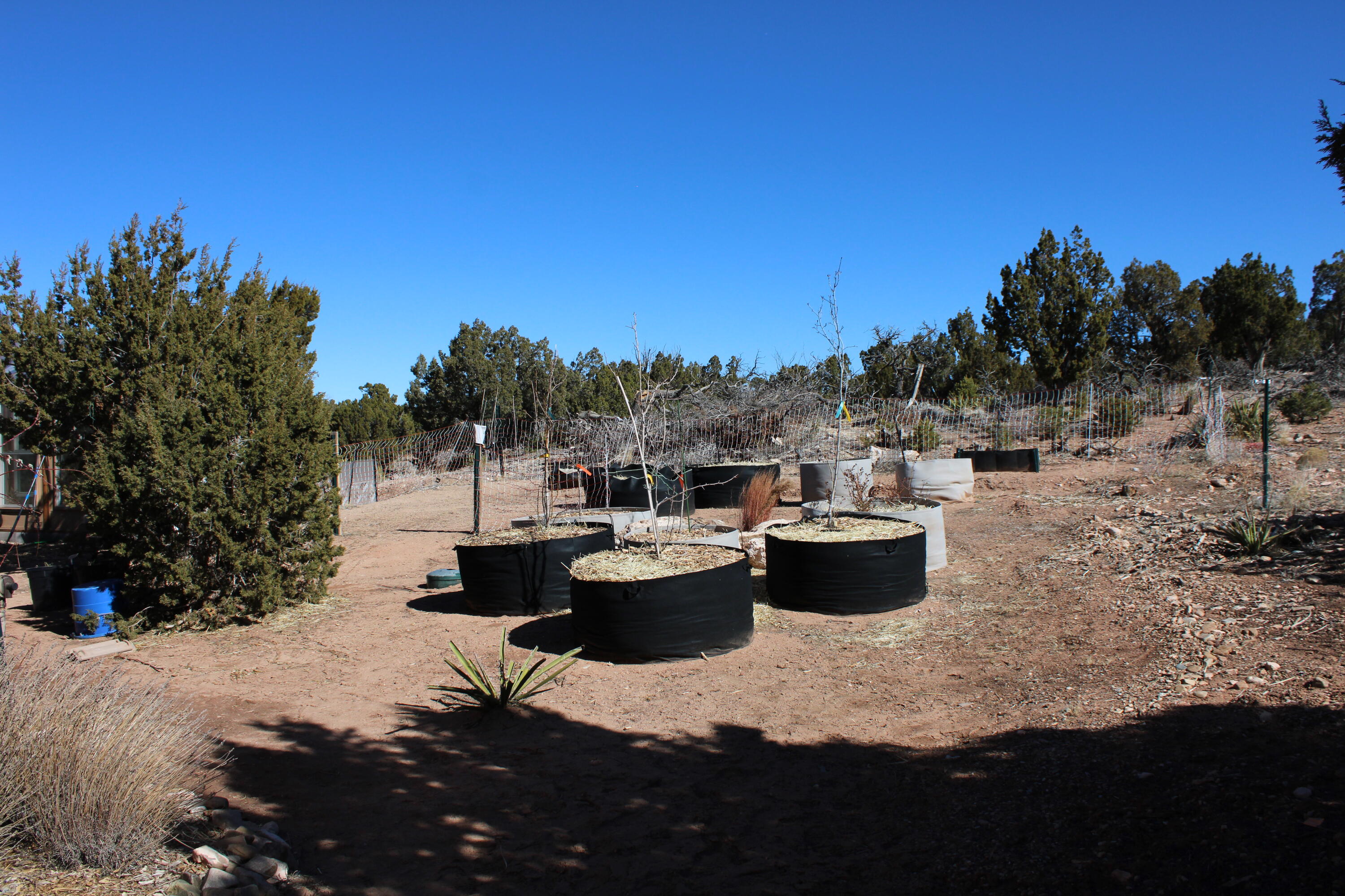 1087 Deer Canyon Trail