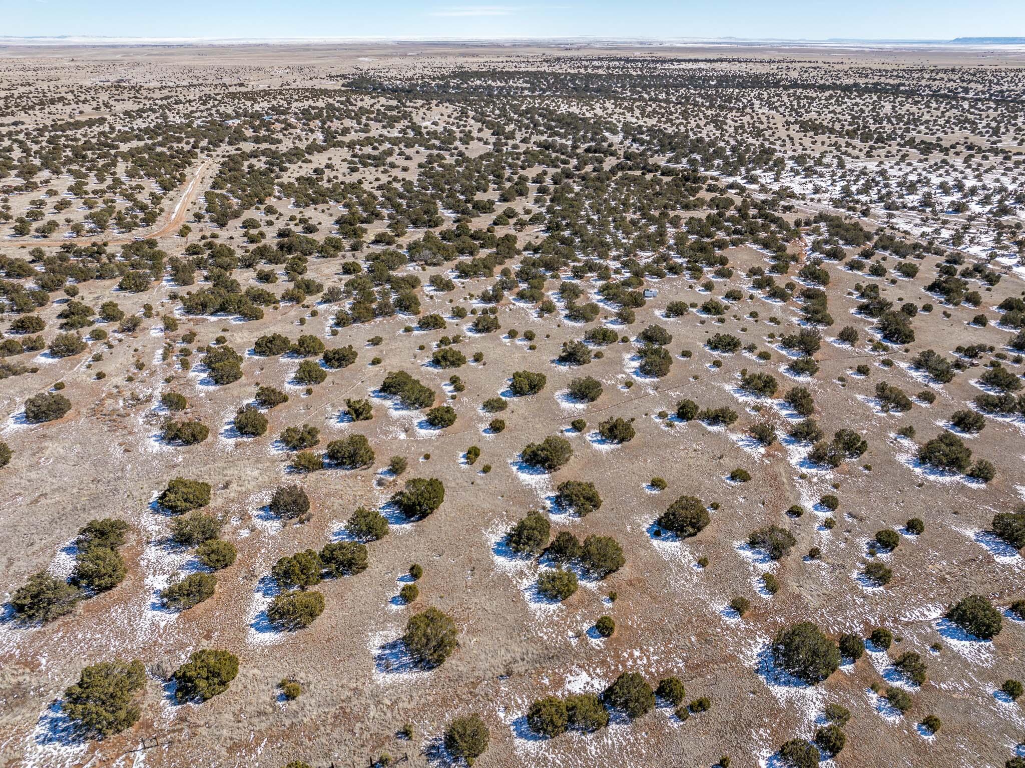 Linda Vista Road