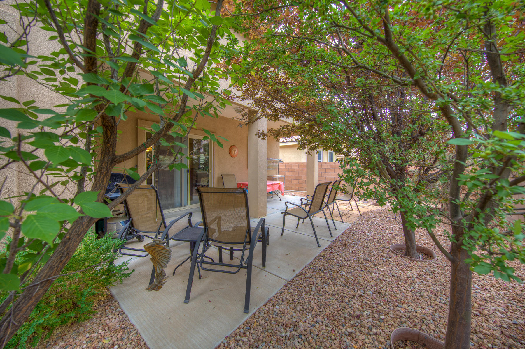 1103 Desert Willow Court
