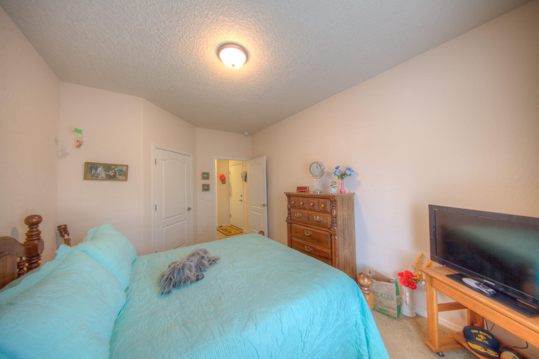 1103 Desert Willow Court