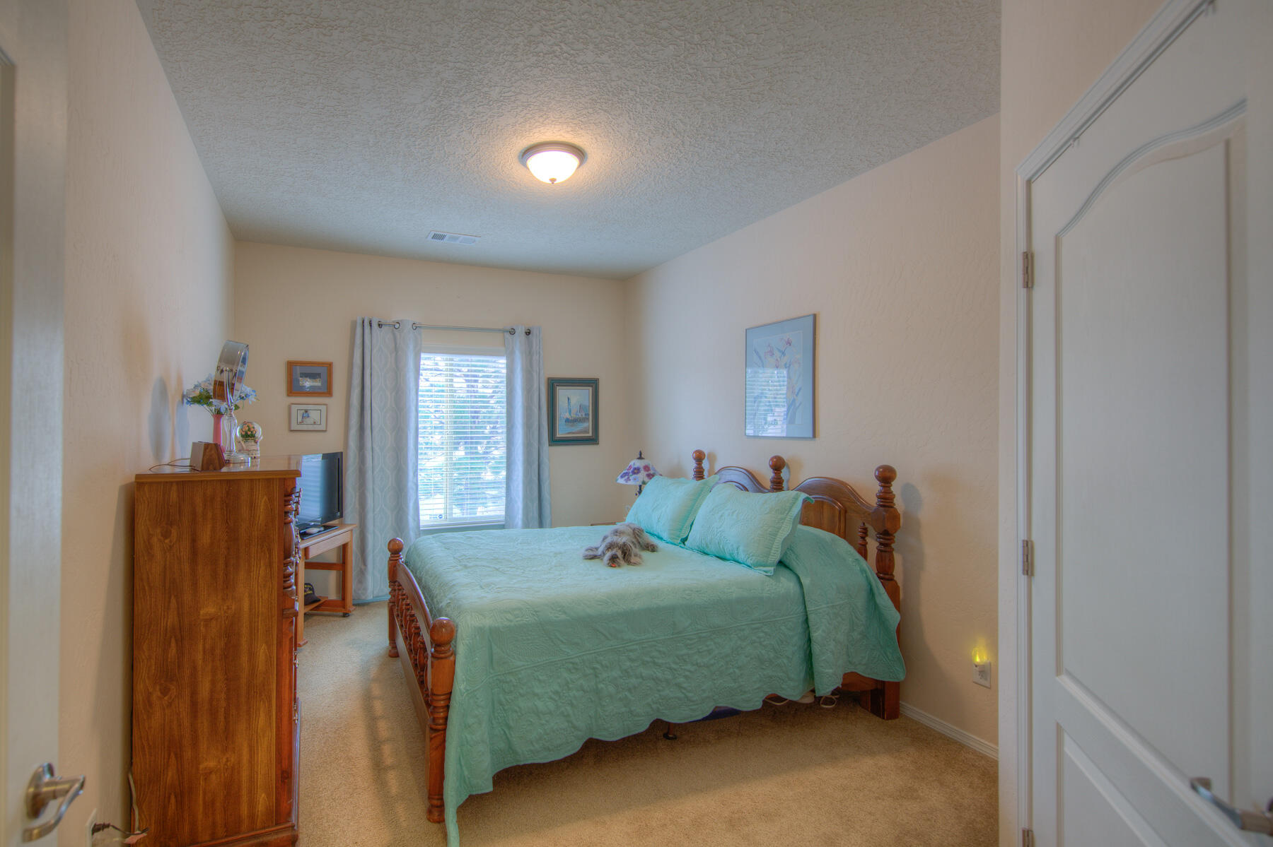 1103 Desert Willow Court