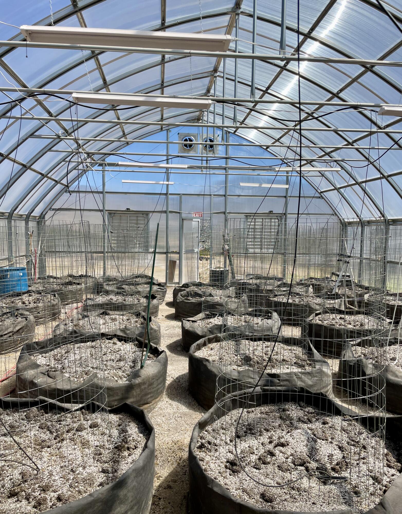 145 & 149 Coyote Springs Road SE