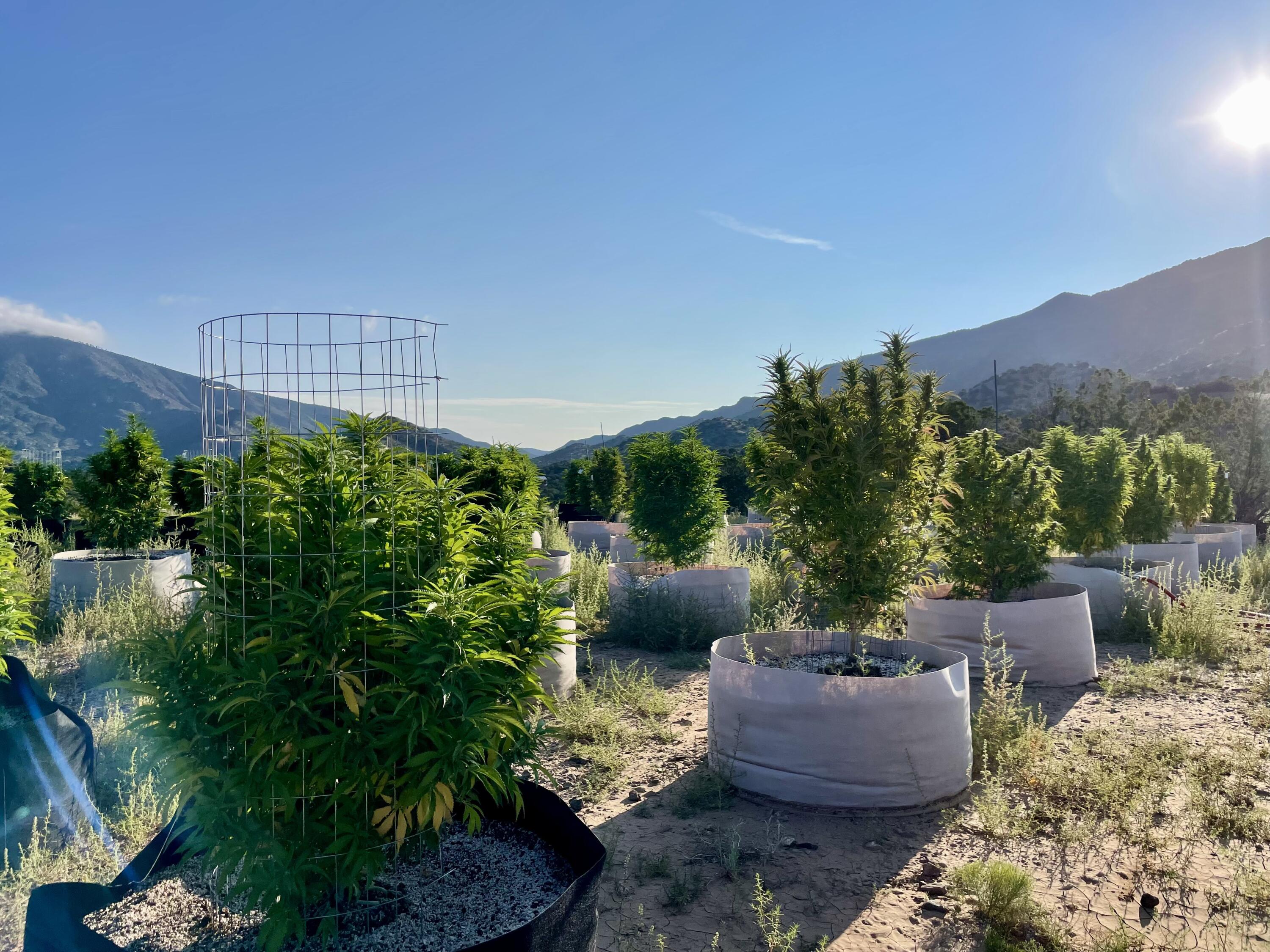 145 & 149 Coyote Springs Road SE