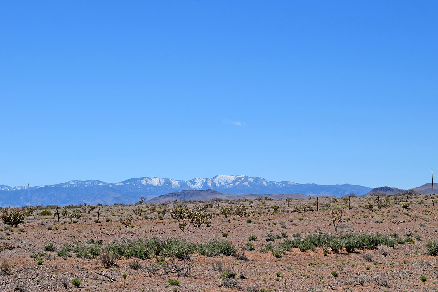 37 Mountain View