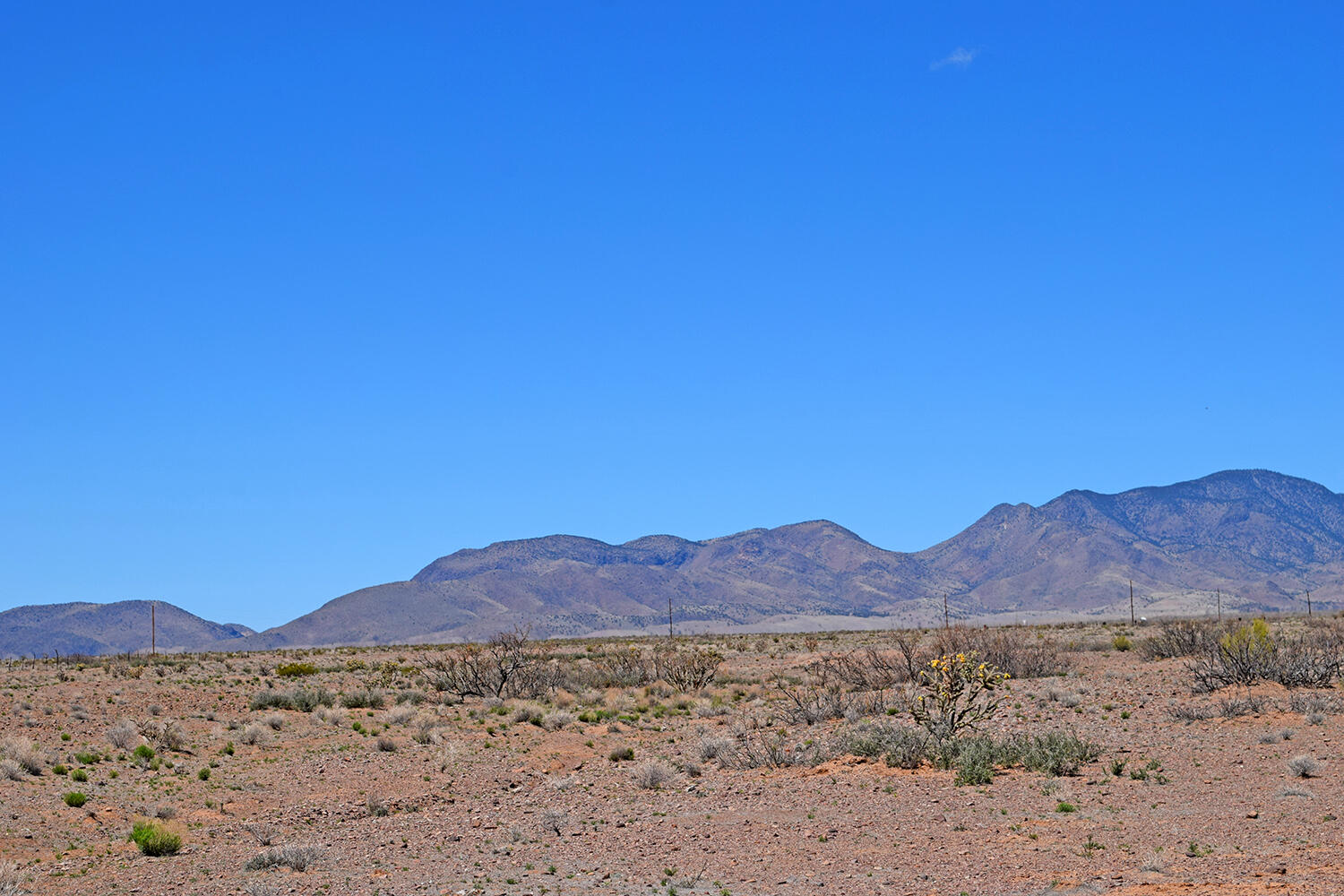 37 Mountain View