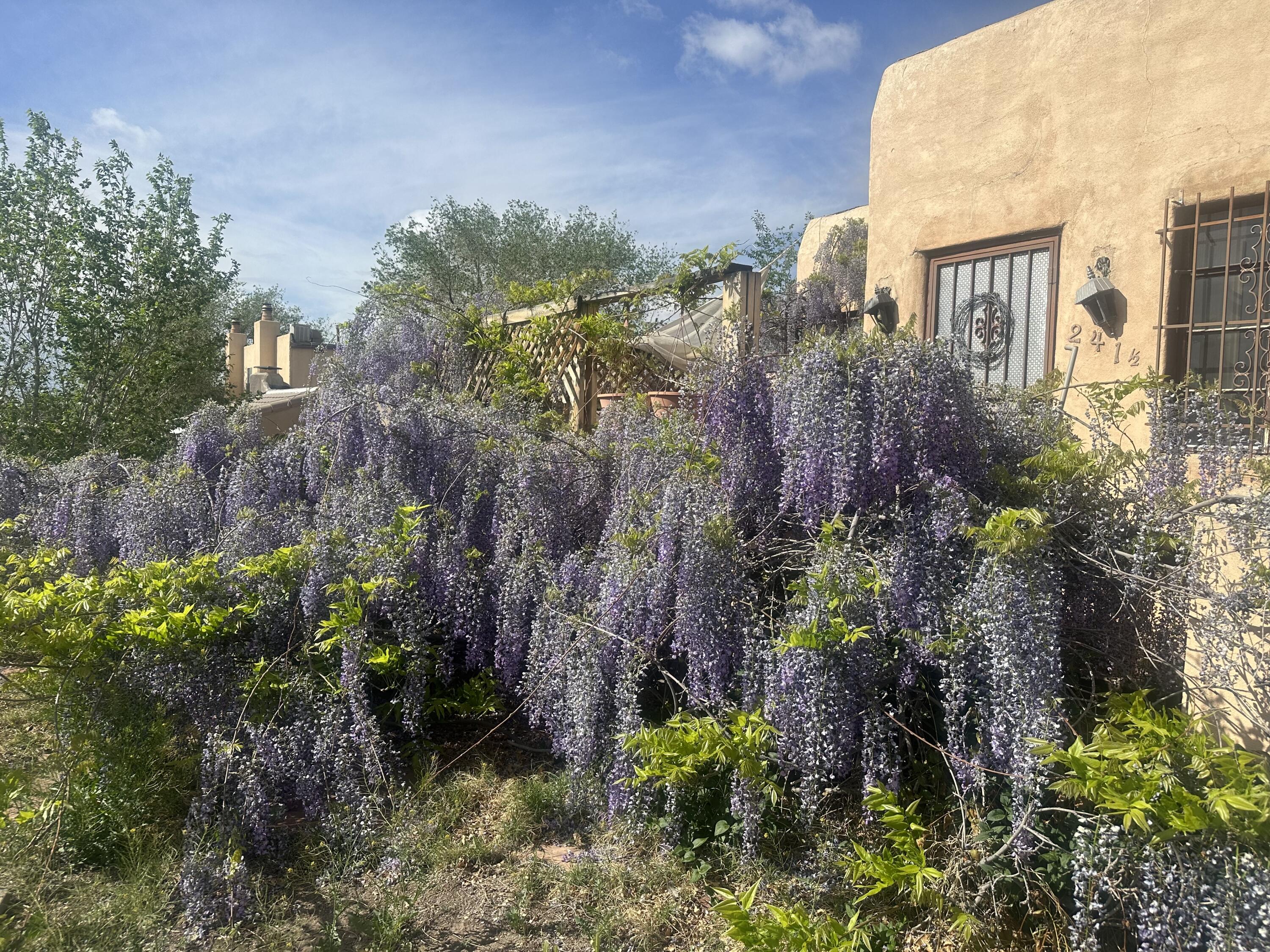 241 Estancia Drive NW