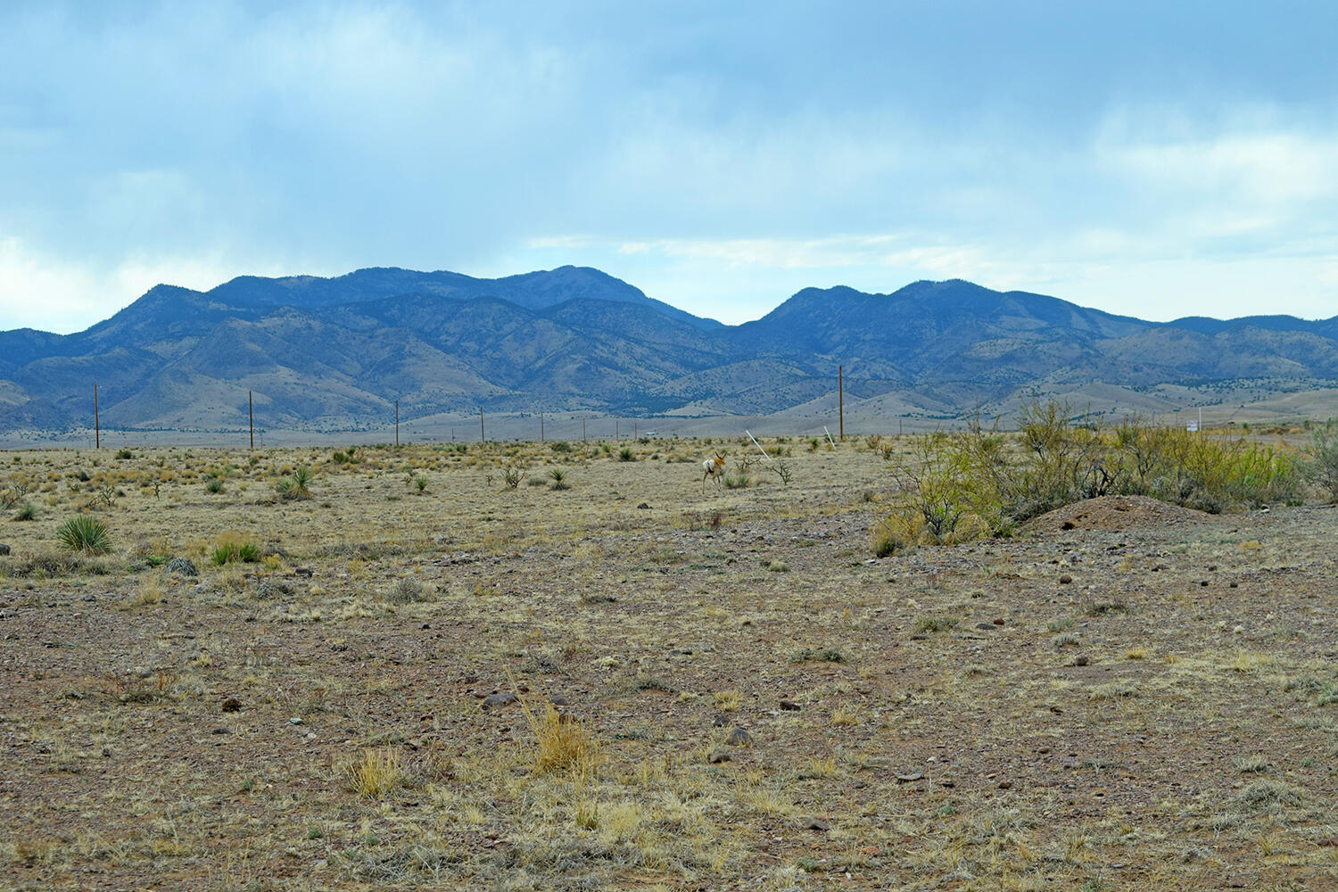 Lot 73 Bosque Trail