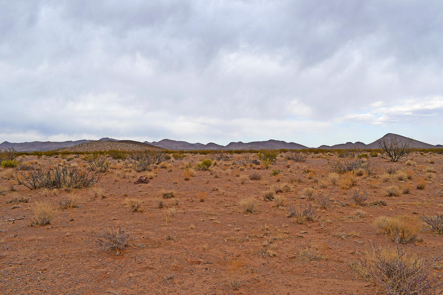 Lot 73 Bosque Trail