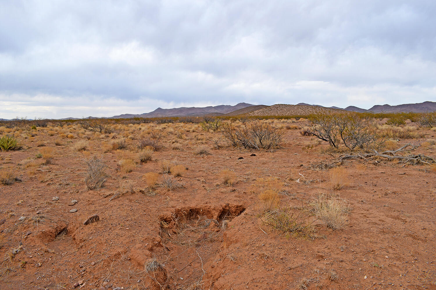 Lot 73 Bosque Trail