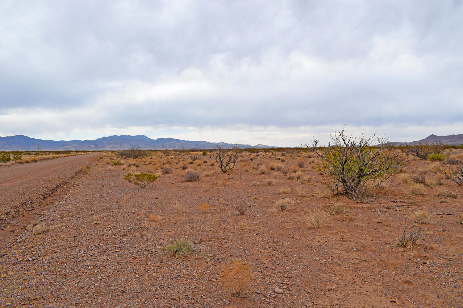 Lot 73 Bosque Trail