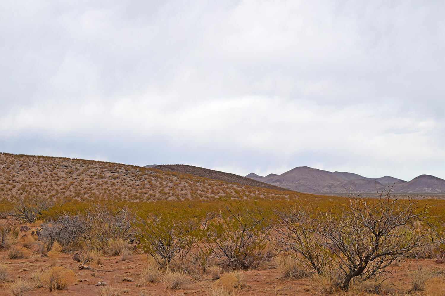 Lot 73 Bosque Trail