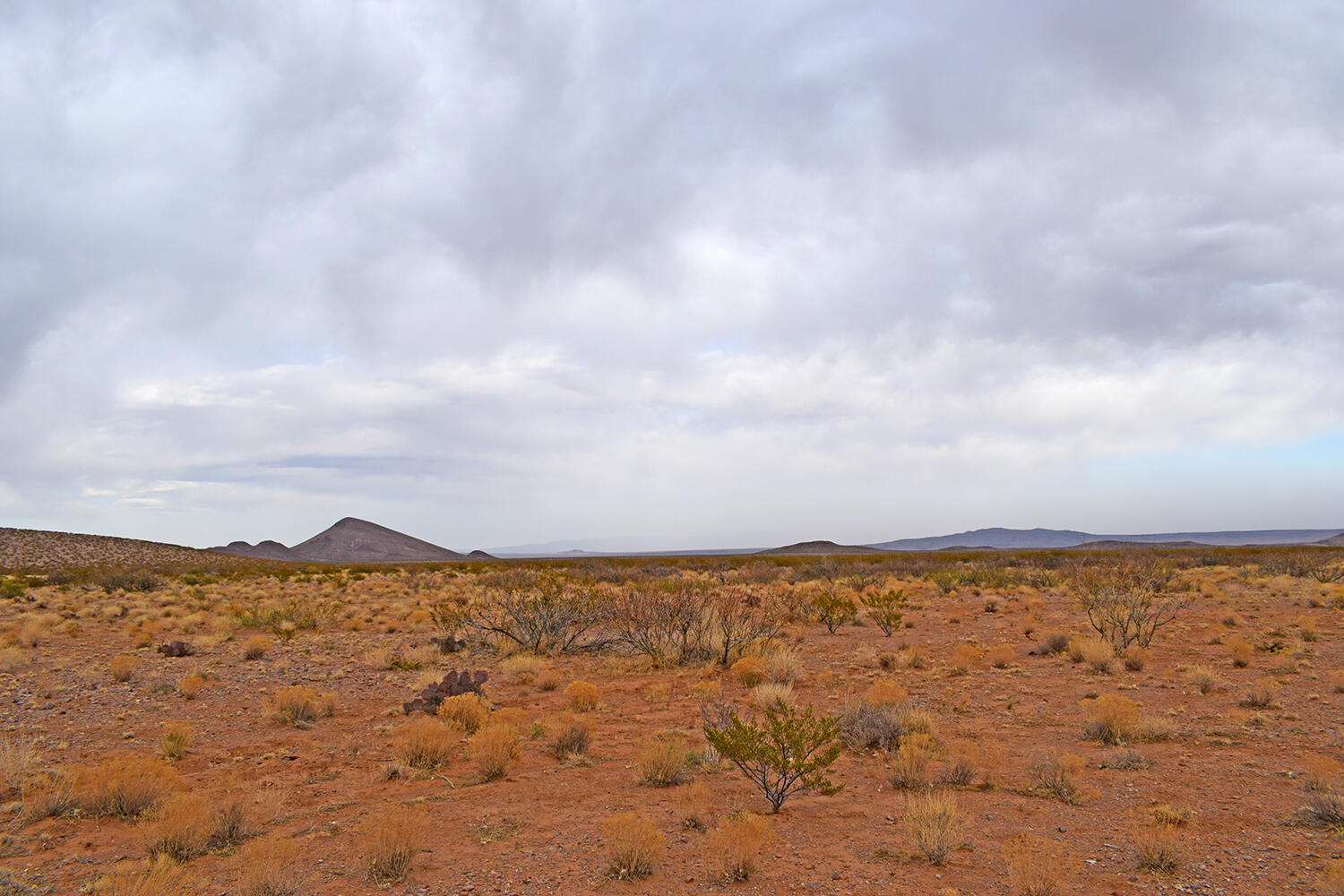 Lot 73 Bosque Trail