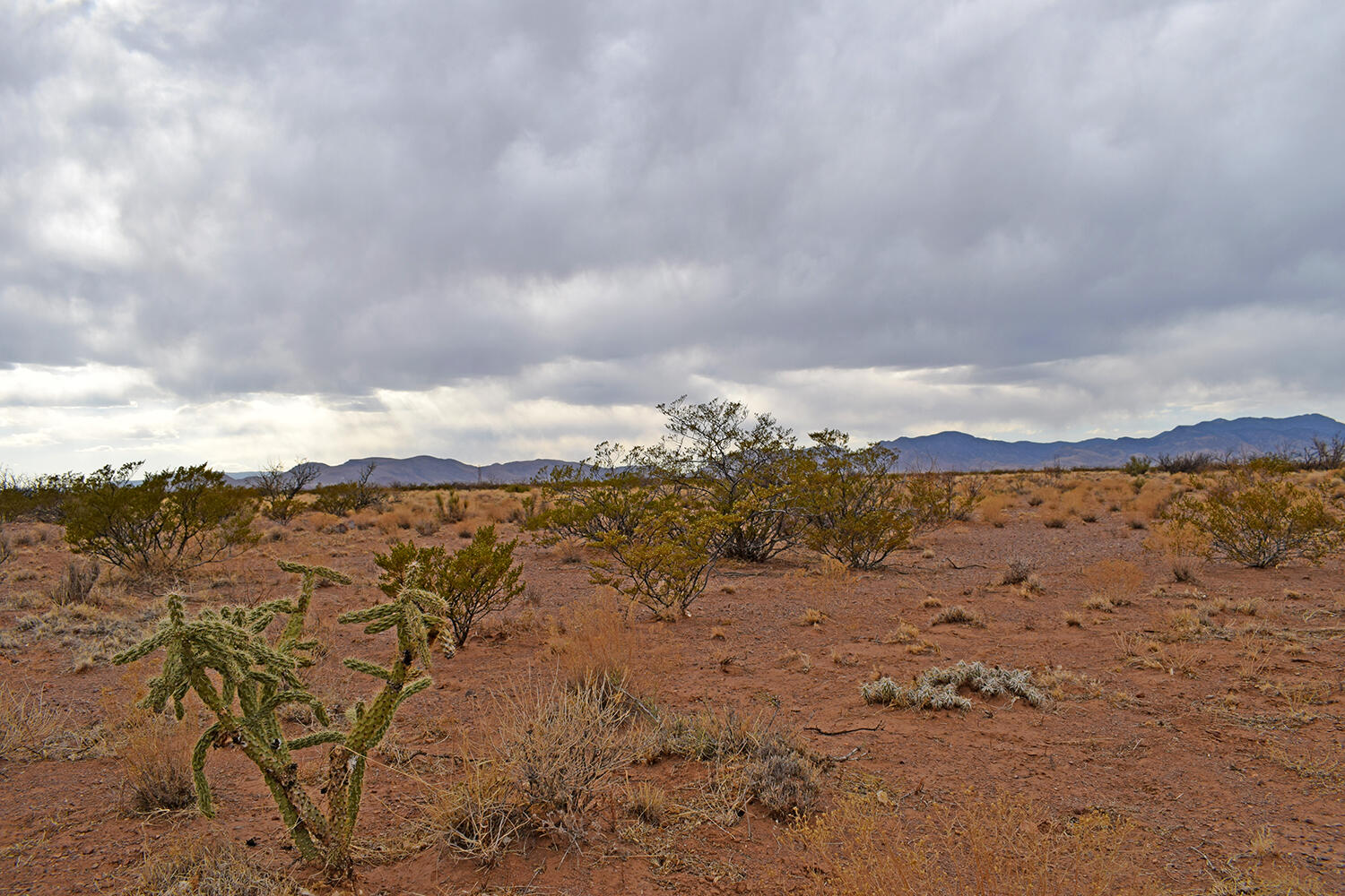 Lot 73 Bosque Trail