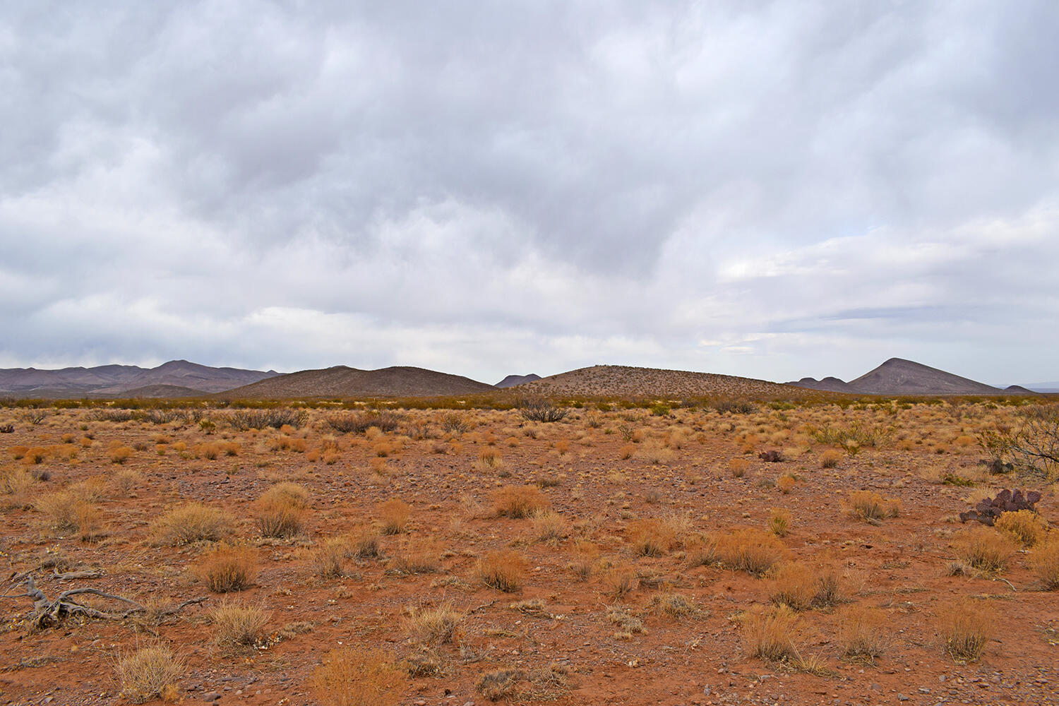 Lot 73 Bosque Trail