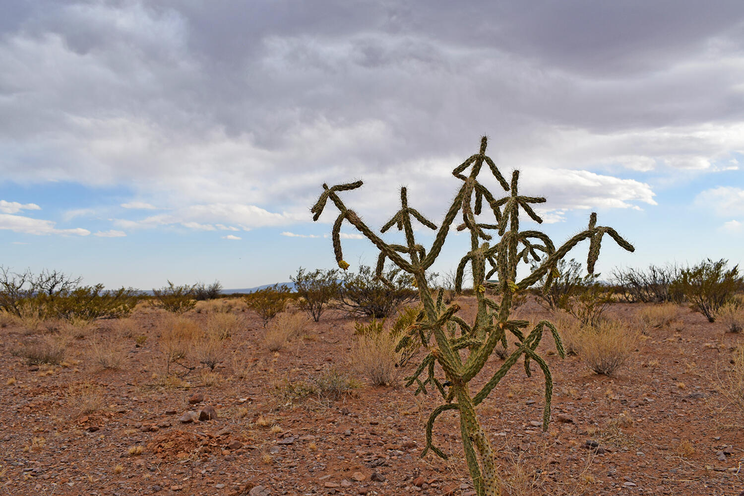 Lot 73 Bosque Trail