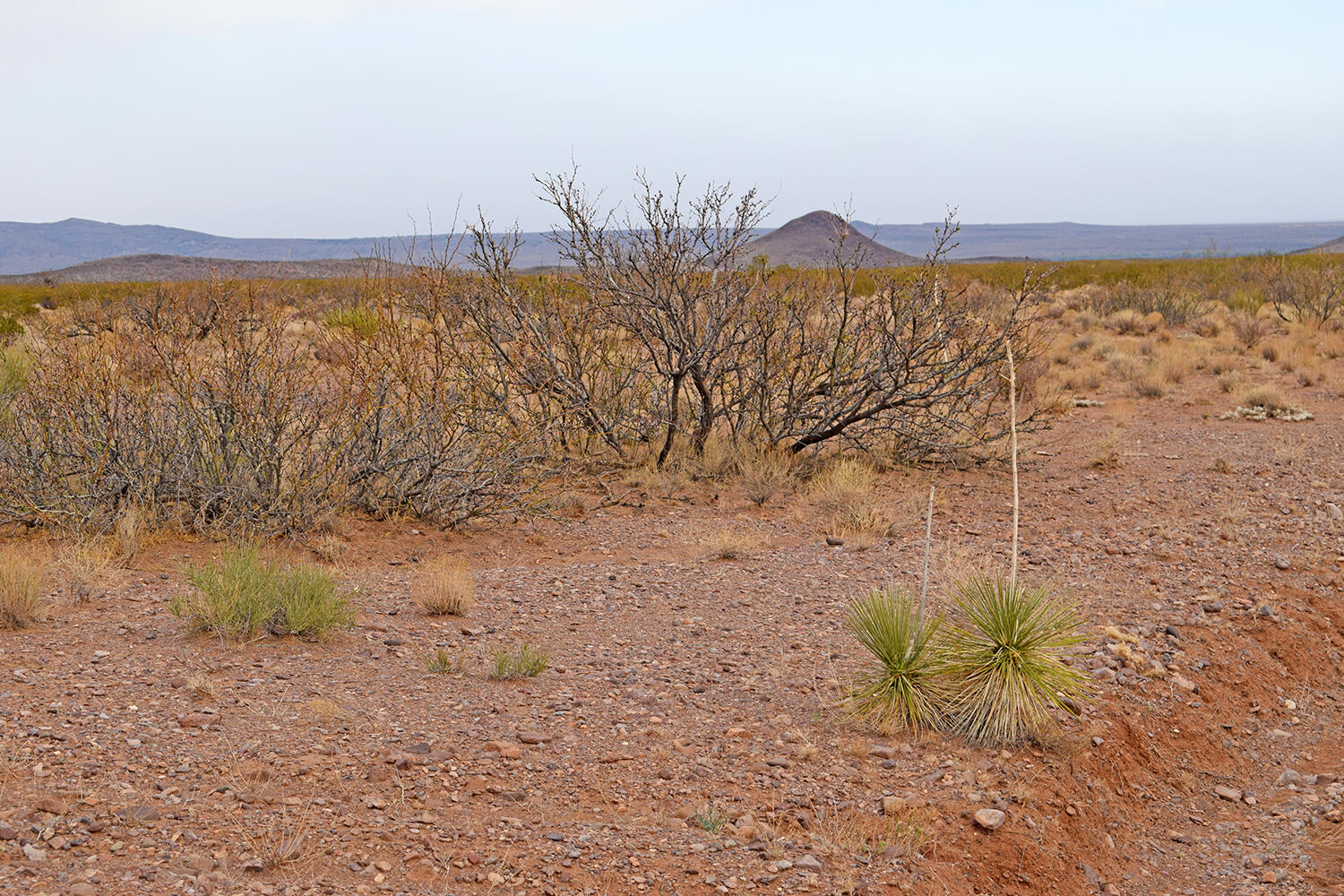 Lot 73 Bosque Trail