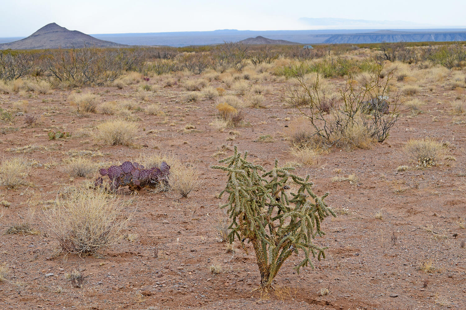 Lot 73 Bosque Trail