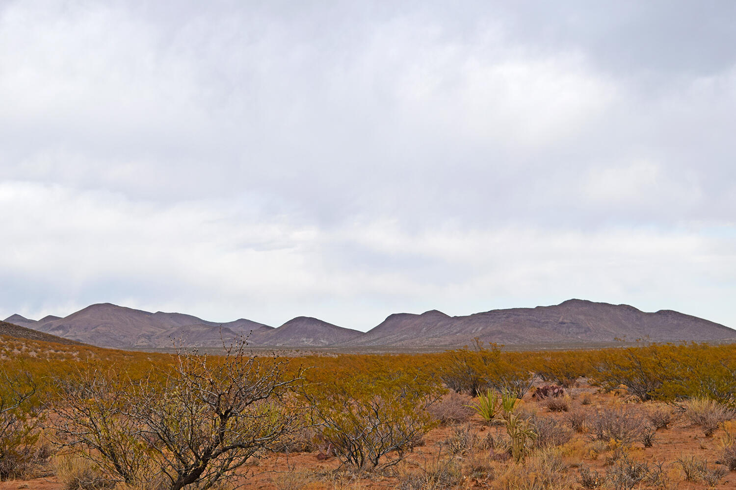Lot 73 Bosque Trail