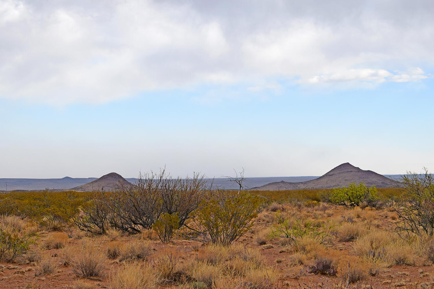 Lot 73 Bosque Trail
