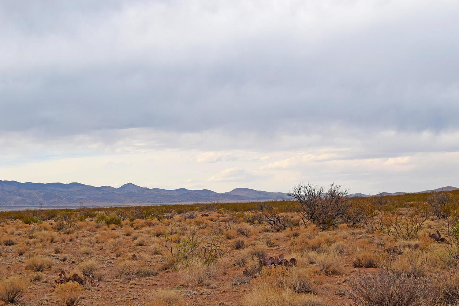 Lot 73 Bosque Trail