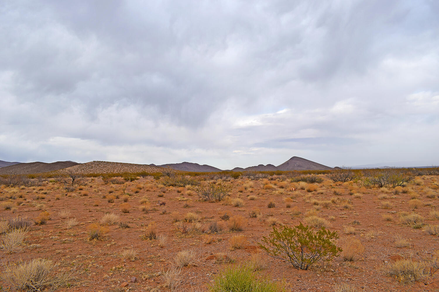 Lot 73 Bosque Trail