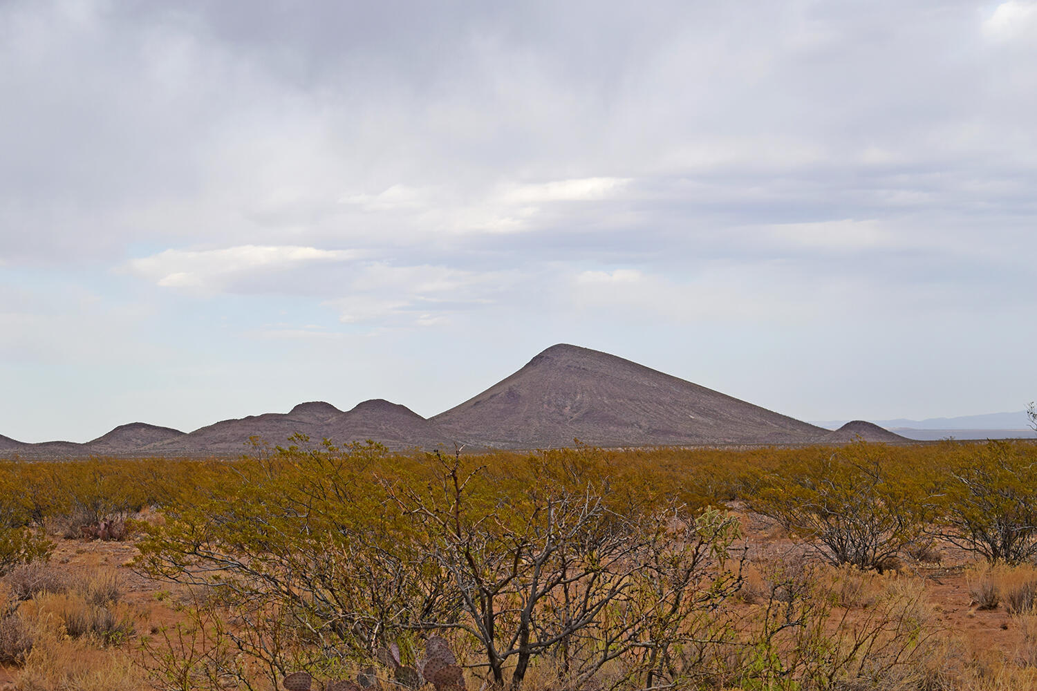 Lot 73 Bosque Trail