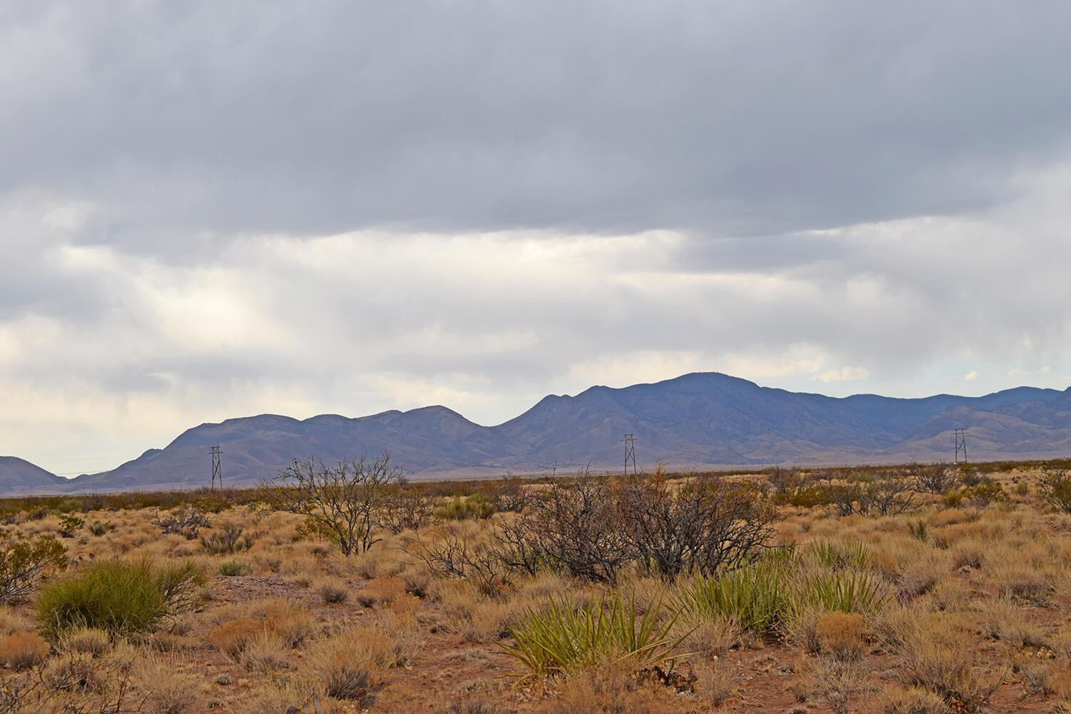 Lot 73 Bosque Trail