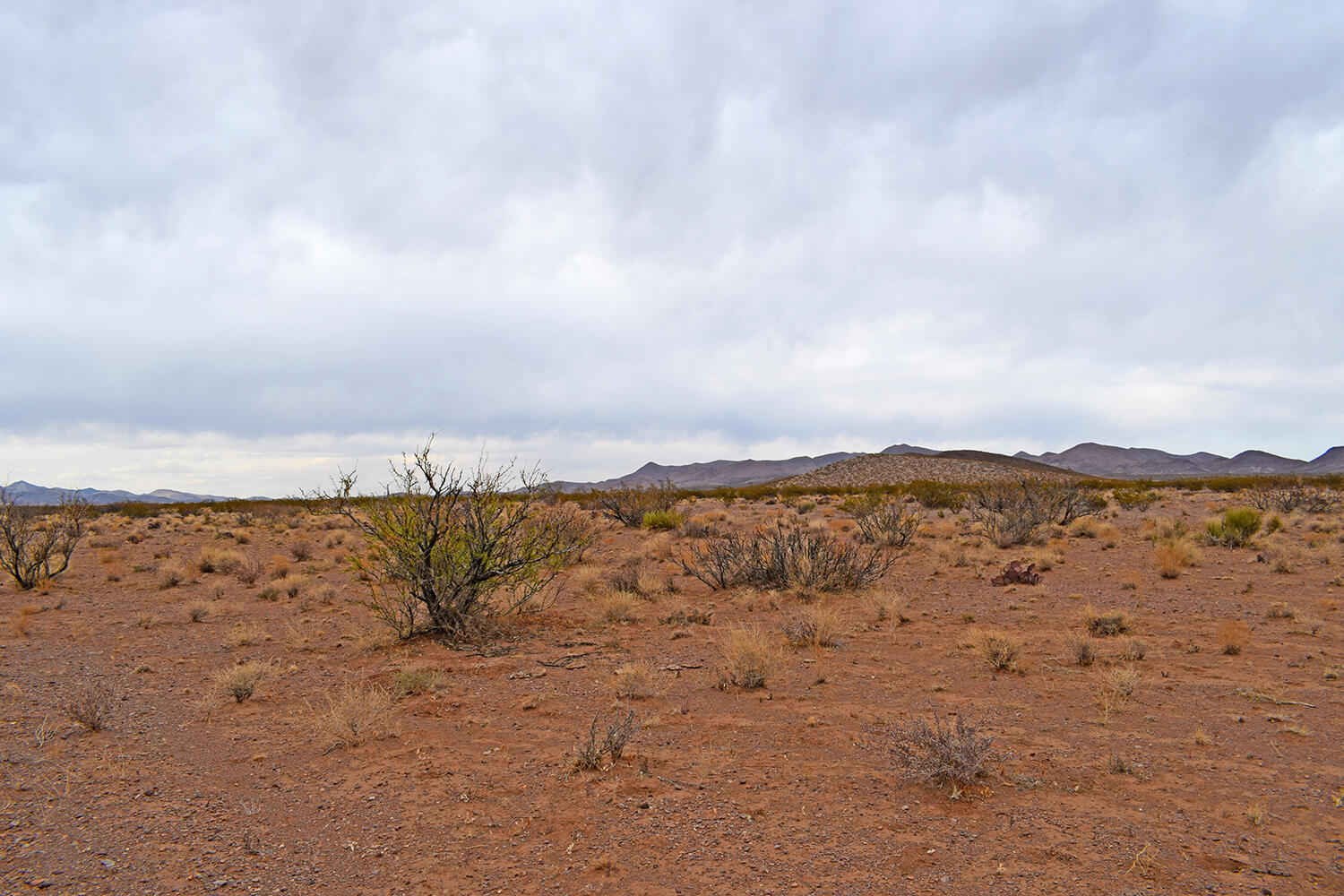Lot 73 Bosque Trail