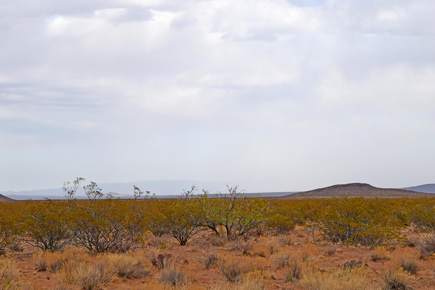 Lot 73 Bosque Trail