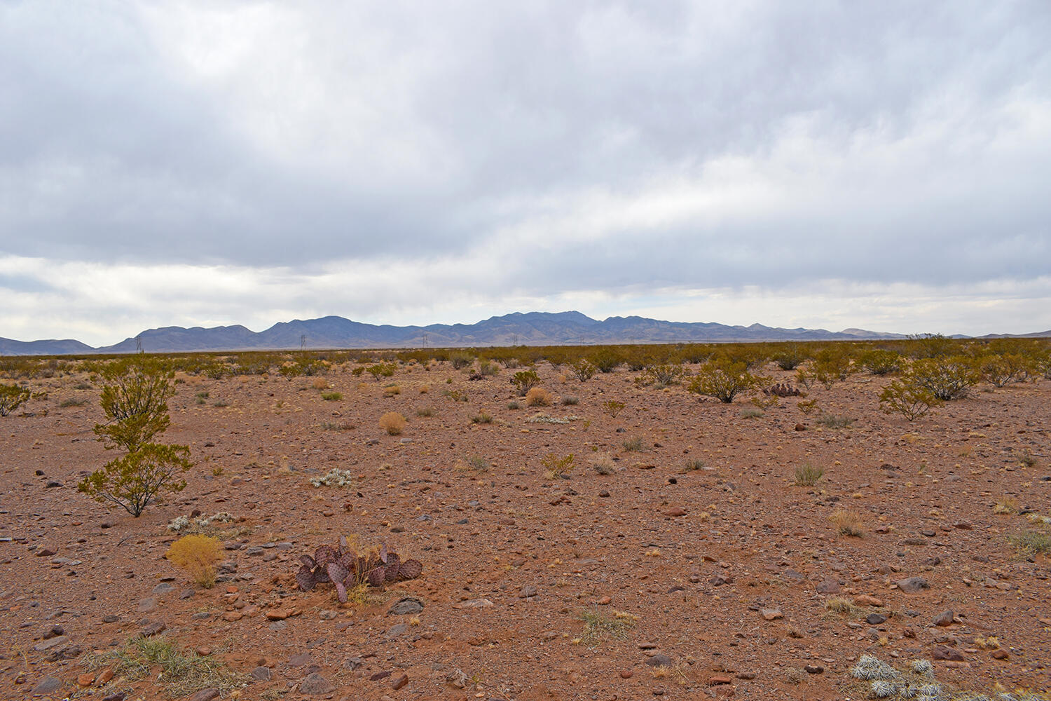Lot 73 Bosque Trail