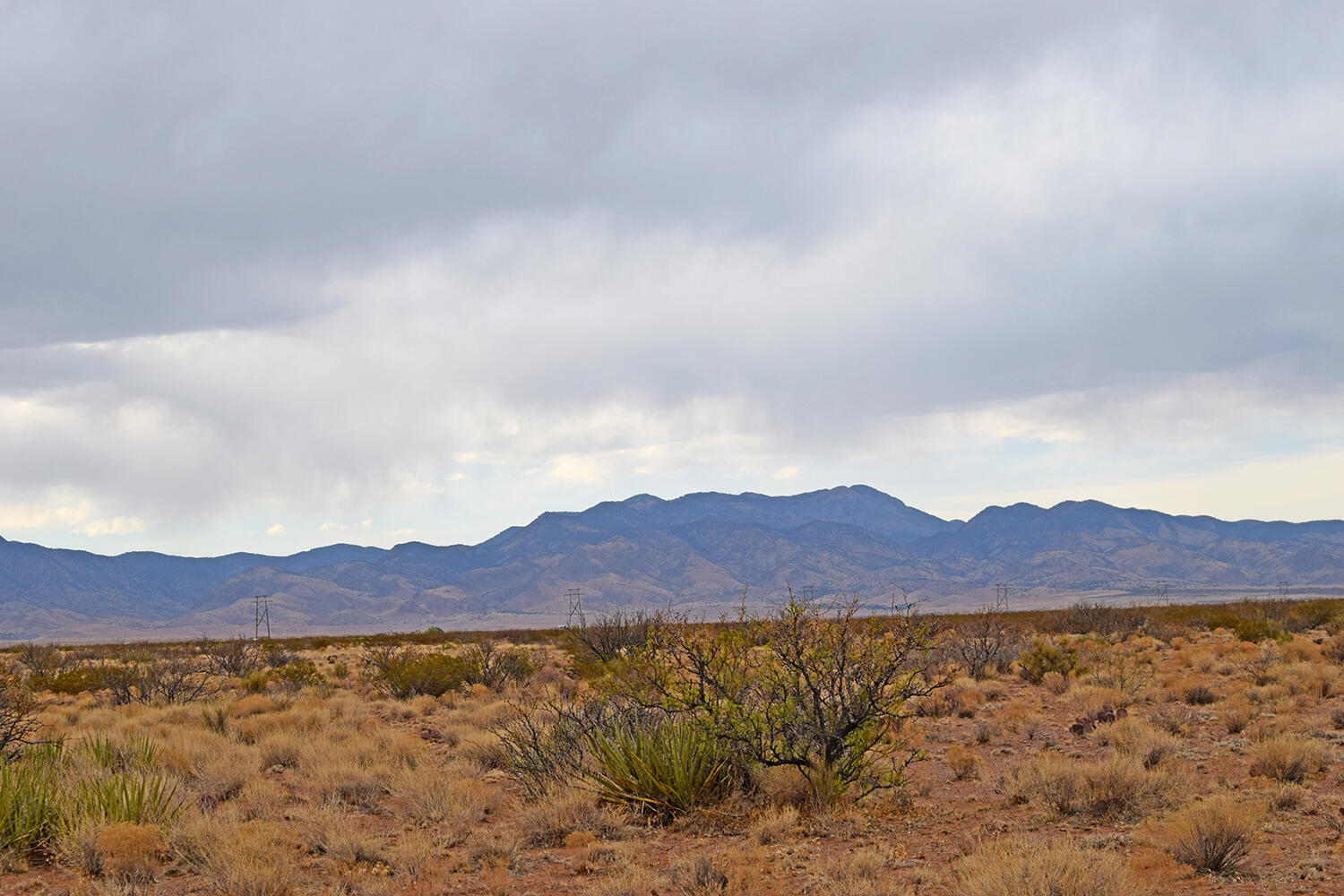 Lot 73 Bosque Trail