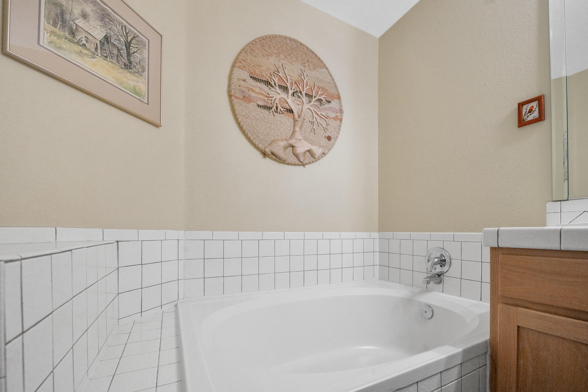 119 Tierra Del Sol Loop