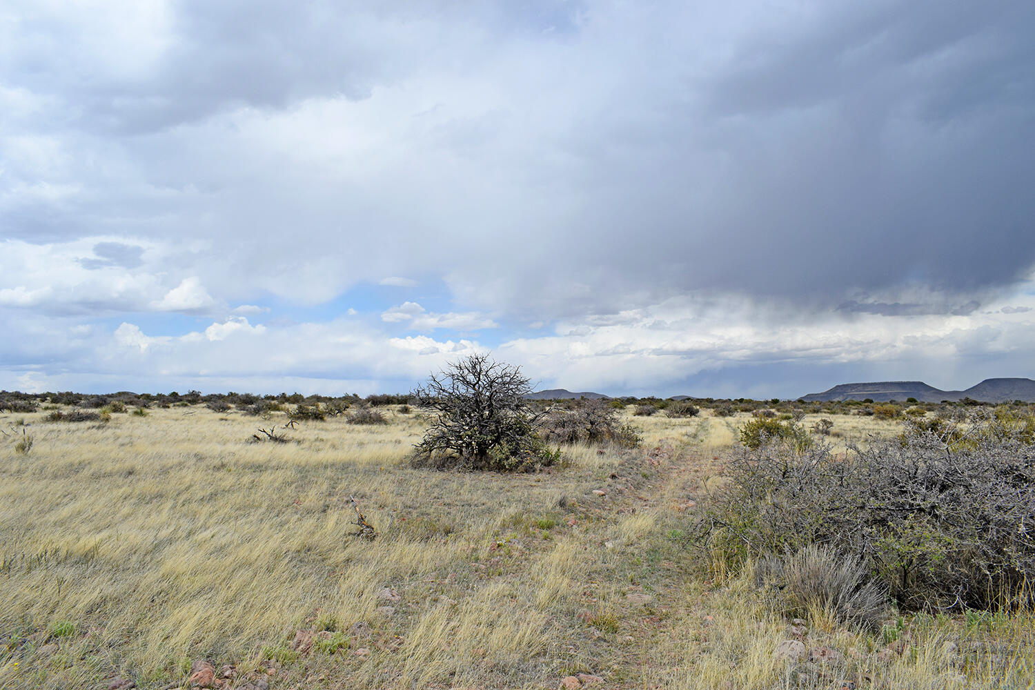 Lot 39 Sunset Vista Road