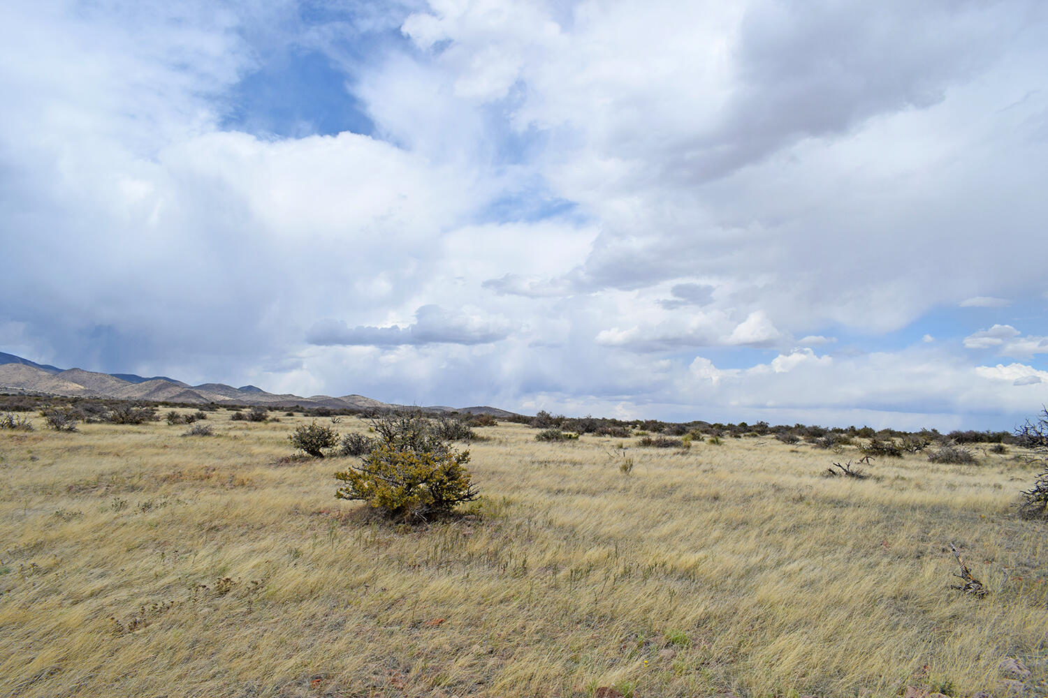 Lot 39 Sunset Vista Road